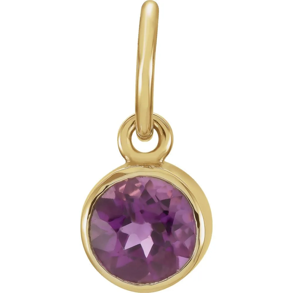 14k Yellow Gold Imitation Amethyst Birthstone Charm