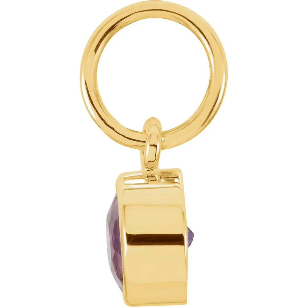 14k Yellow Gold Imitation Amethyst Birthstone Charm