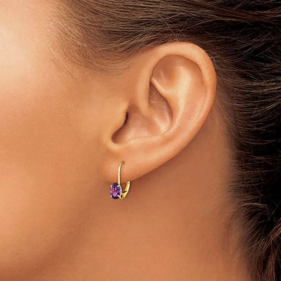 14K Yellow Gold Oval Amethyst Leverback Earrings