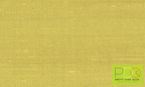 50507 Paleo - Latus