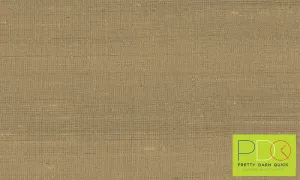 50515 Paleo - Latus