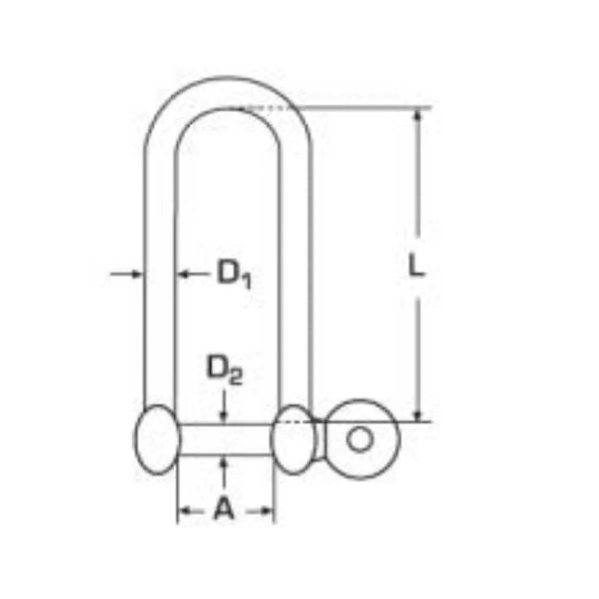 5mm Stainless Steel Long D Shackle