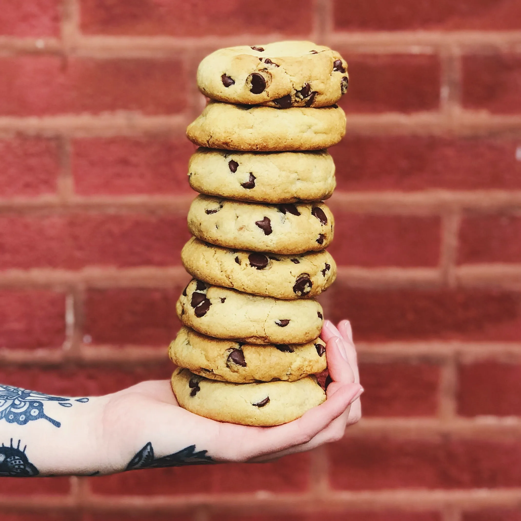 6 Quarter Pound Vegan Chocolate Chip Cookies