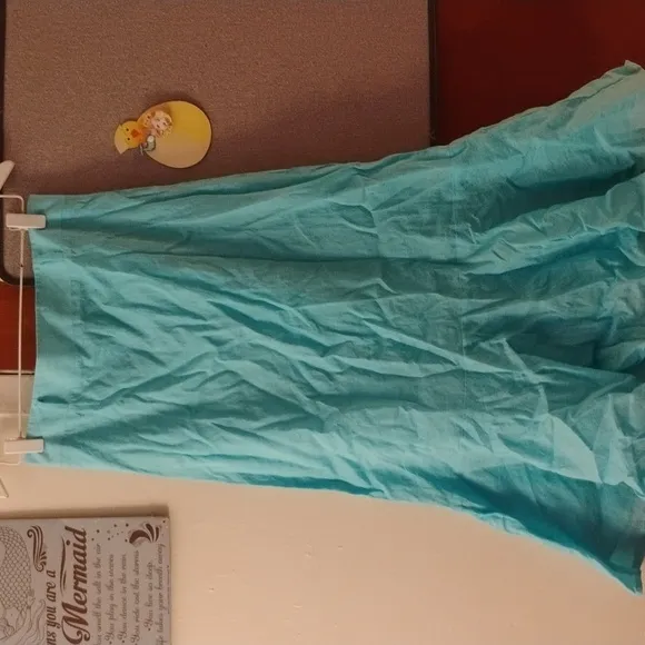 Ann Taylor Skirt
