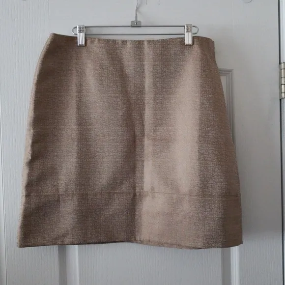 Ann Taylor Skirt