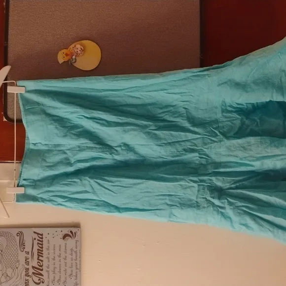 Ann Taylor Skirt