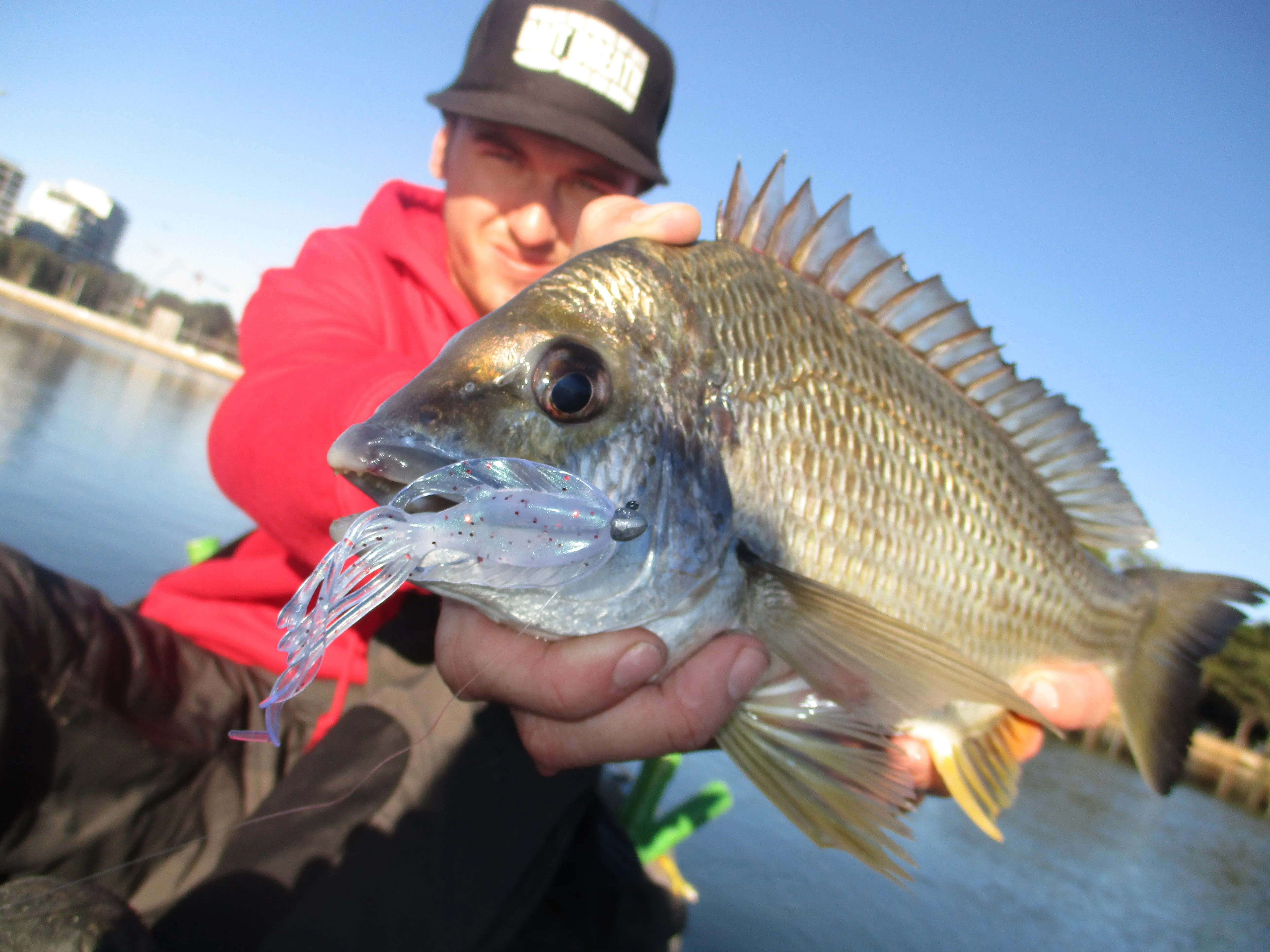 Bait Breath Slow Swimmer 3.5" - Golden Glow Chartruese
