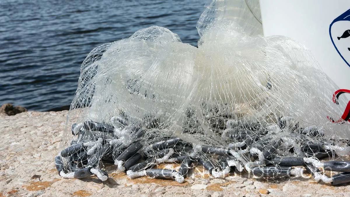 Bait Buster Menhaden Cast Nets CMN-BB7, 7 ft. Radius, 5/8" Sq. Mesh