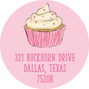 Birthday Fun - Pink Return Sticker