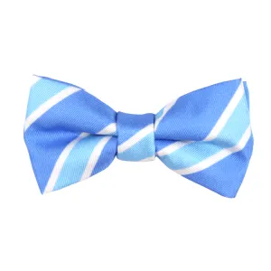 Blue Diagonal Stripes Magnetic Bow Tie
