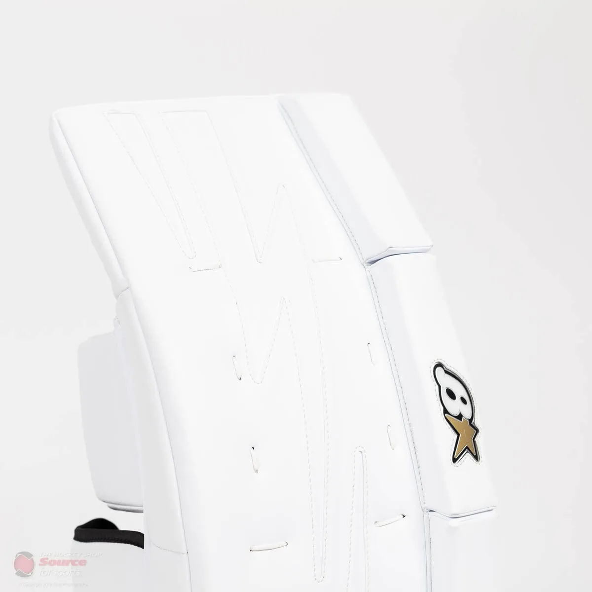 Brian's NetZero 2 Junior Goalie Leg Pads