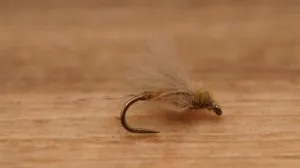 CDC Biot Dun - BWO -SALE