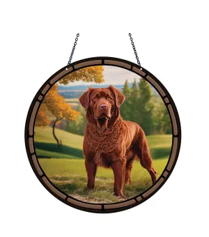 Chesapeake Bay Retriever Acrylic Suncatcher with chain #SC319 by d'ears
