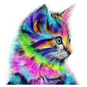 Colorful Cat | Number Painting