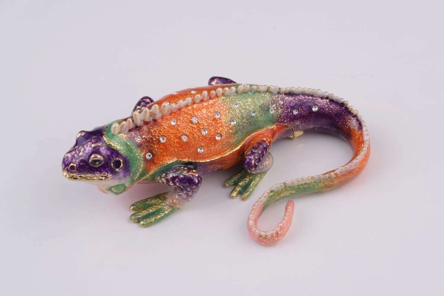 Colorful Iguana