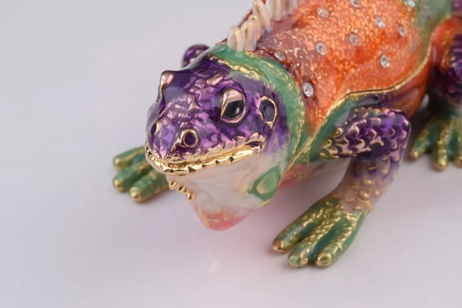 Colorful Iguana