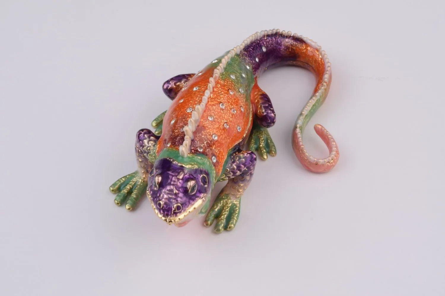Colorful Iguana