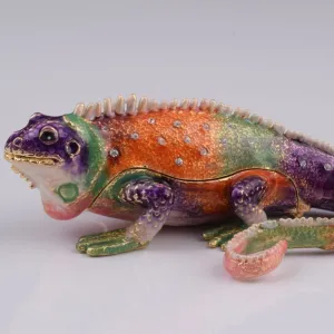 Colorful Iguana