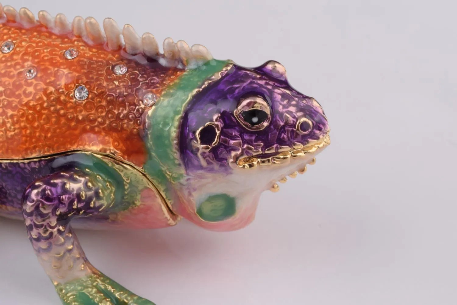 Colorful Iguana