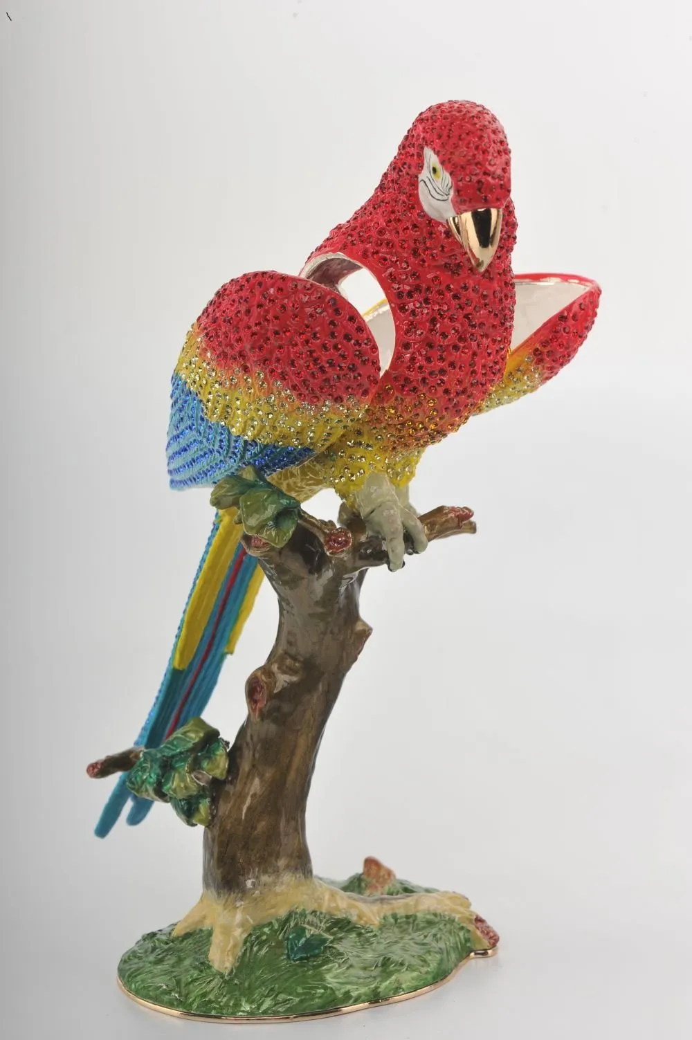 Colorful Parrot