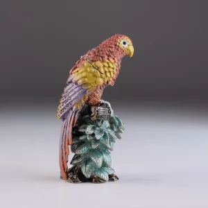 Colorful Parrot