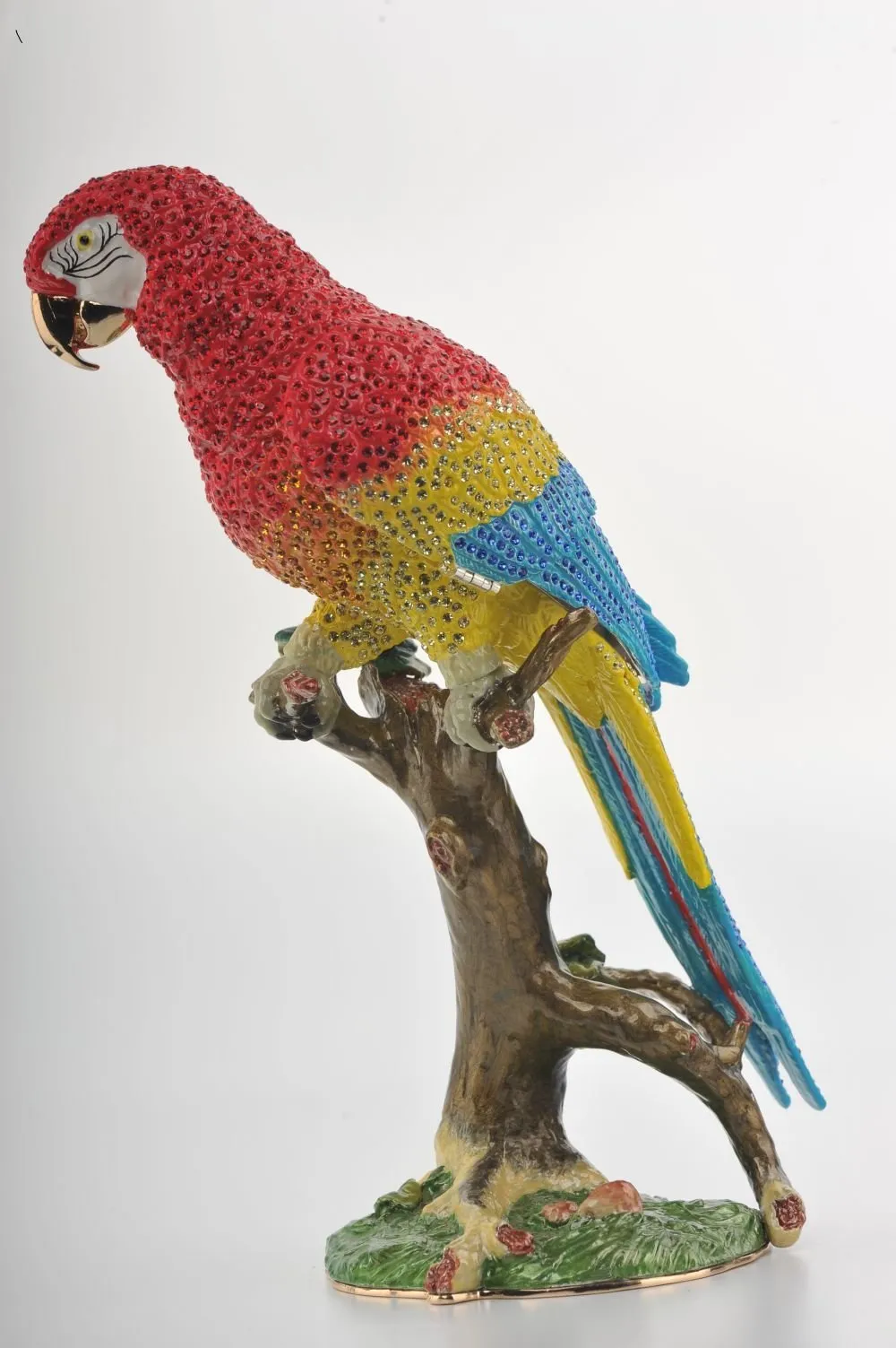 Colorful Parrot