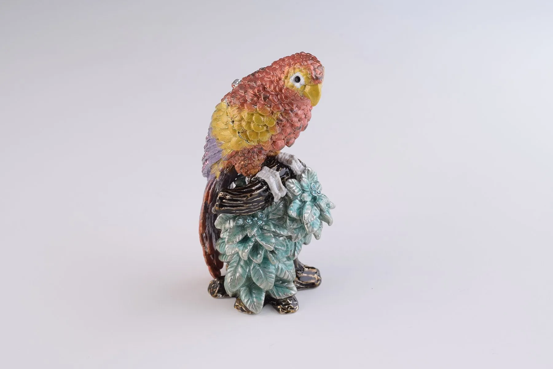 Colorful Parrot