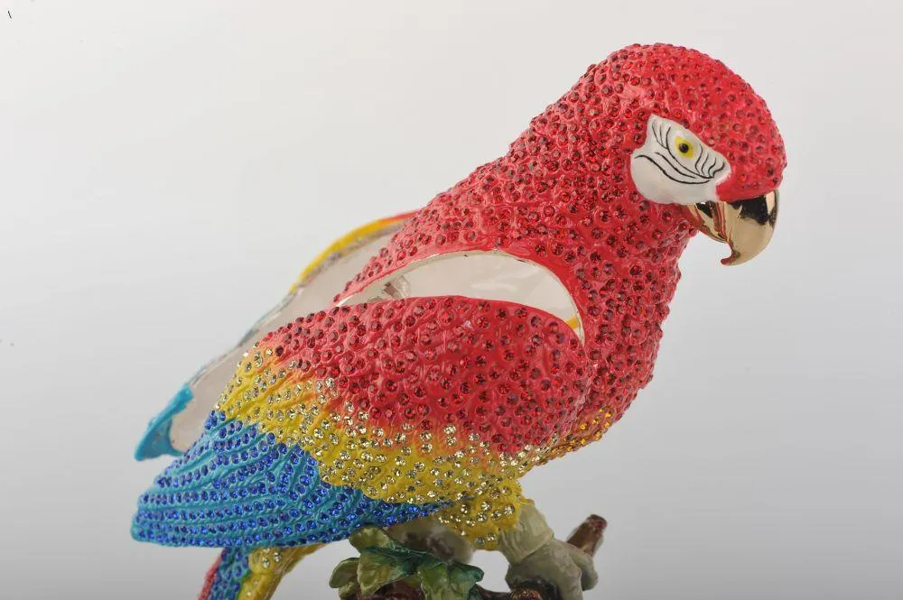Colorful Parrot