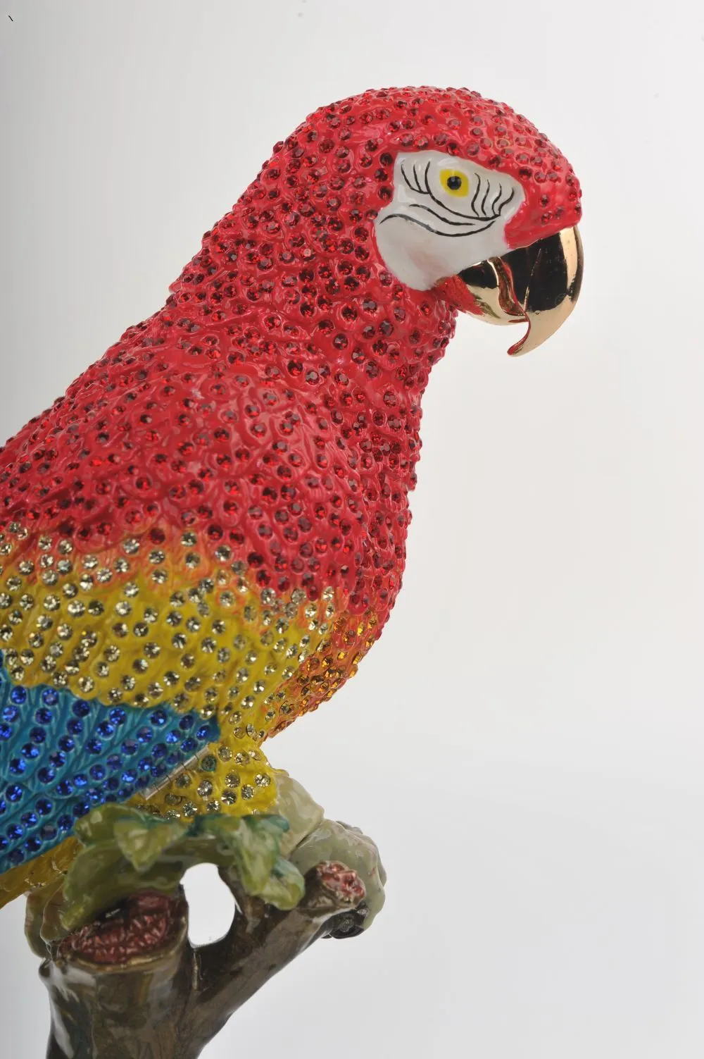 Colorful Parrot