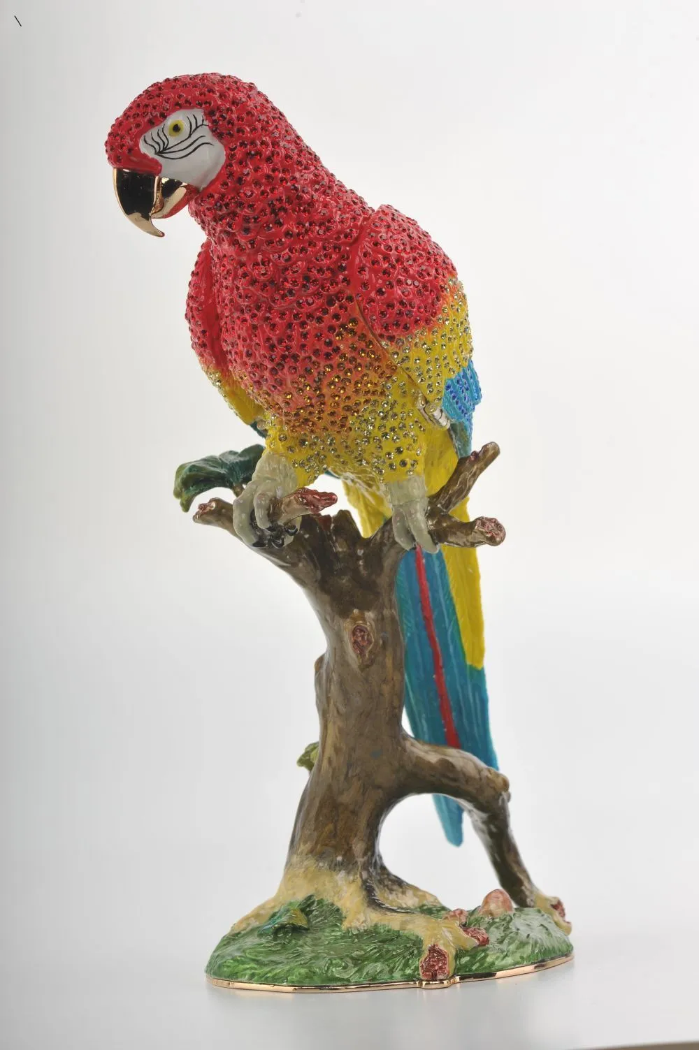 Colorful Parrot