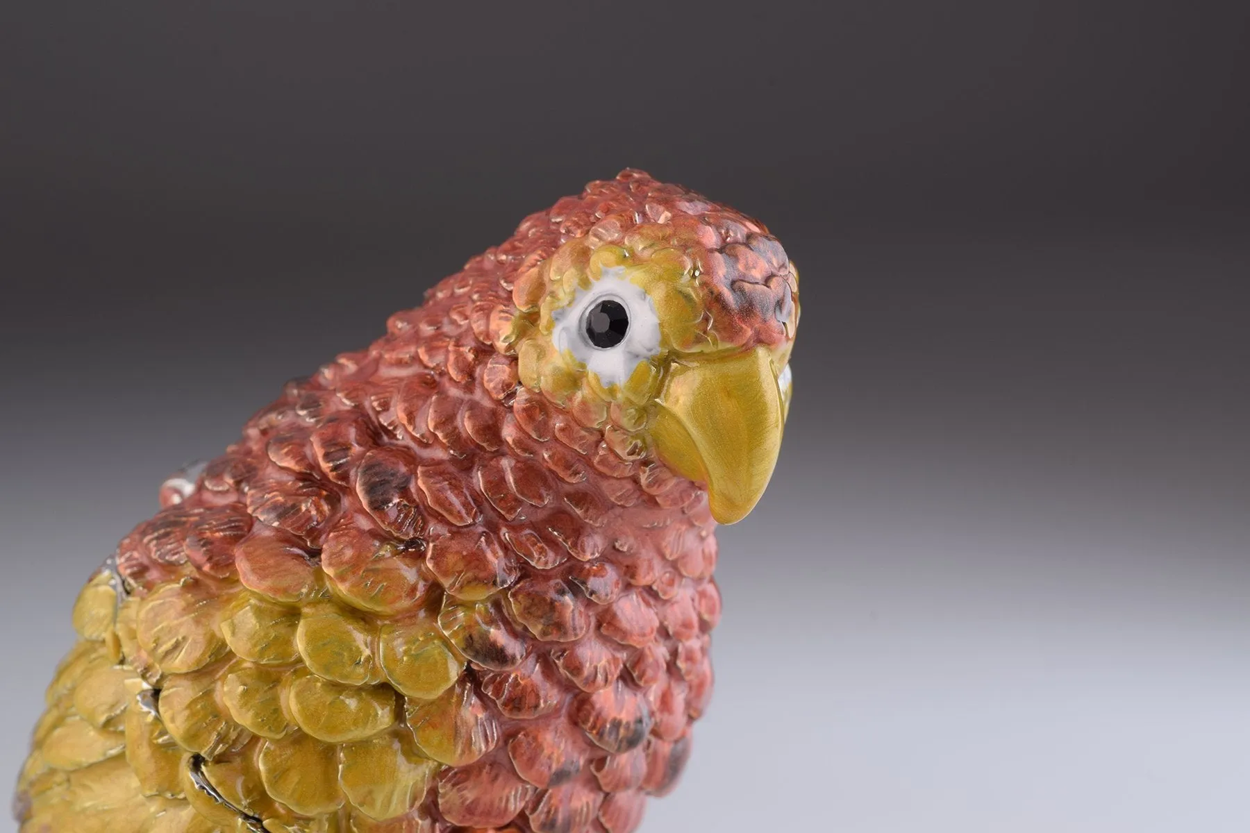 Colorful Parrot