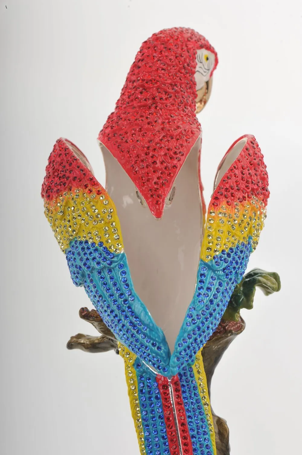 Colorful Parrot