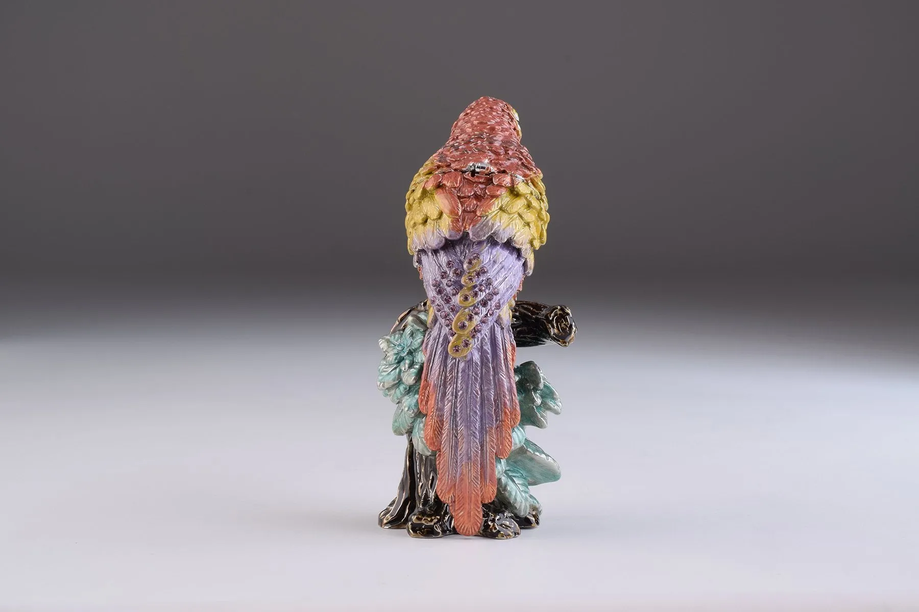 Colorful Parrot