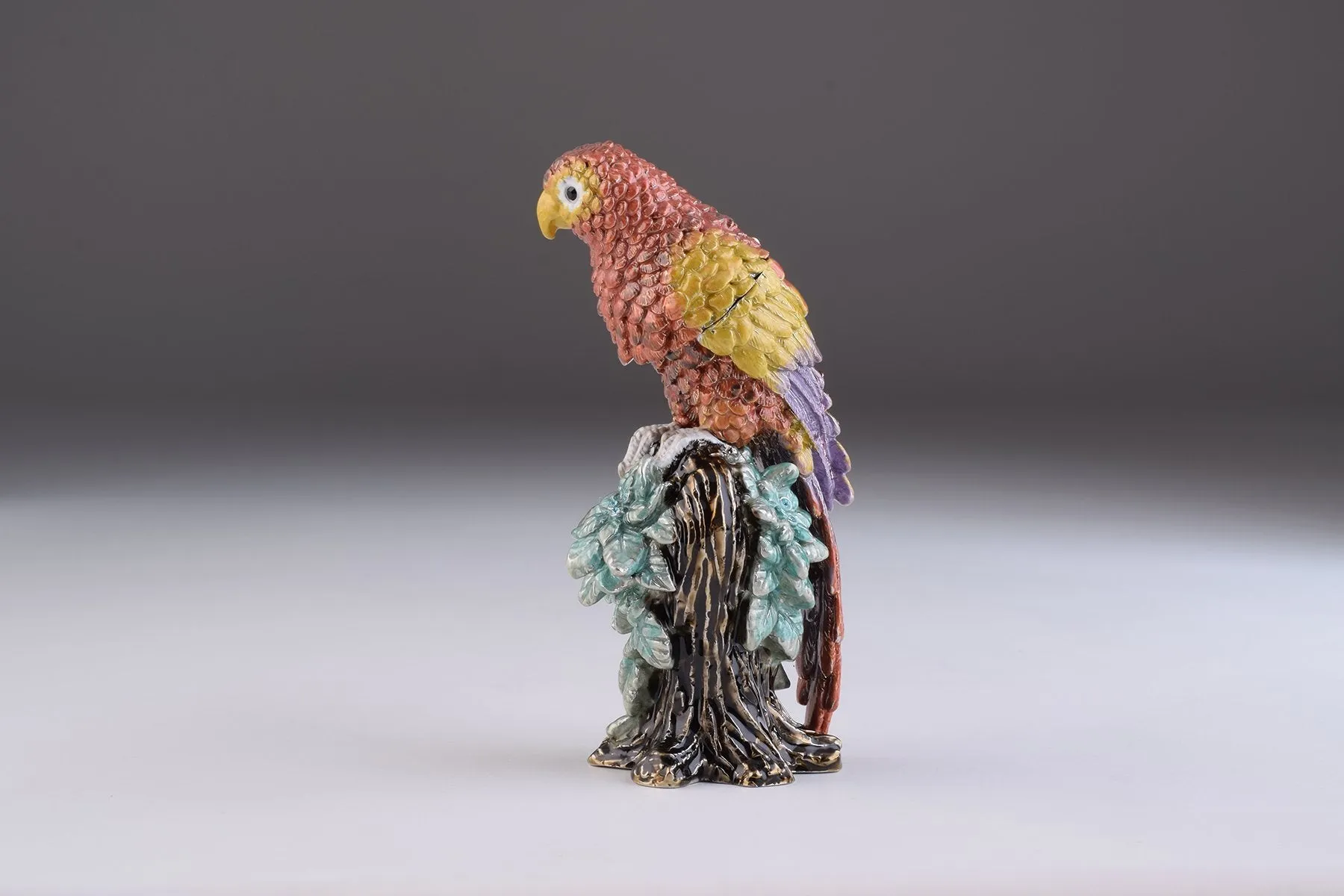 Colorful Parrot
