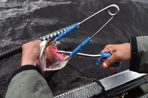 Cuda Jaw Spreader
