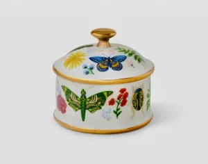Decorative Box - Butterflies & Flowers