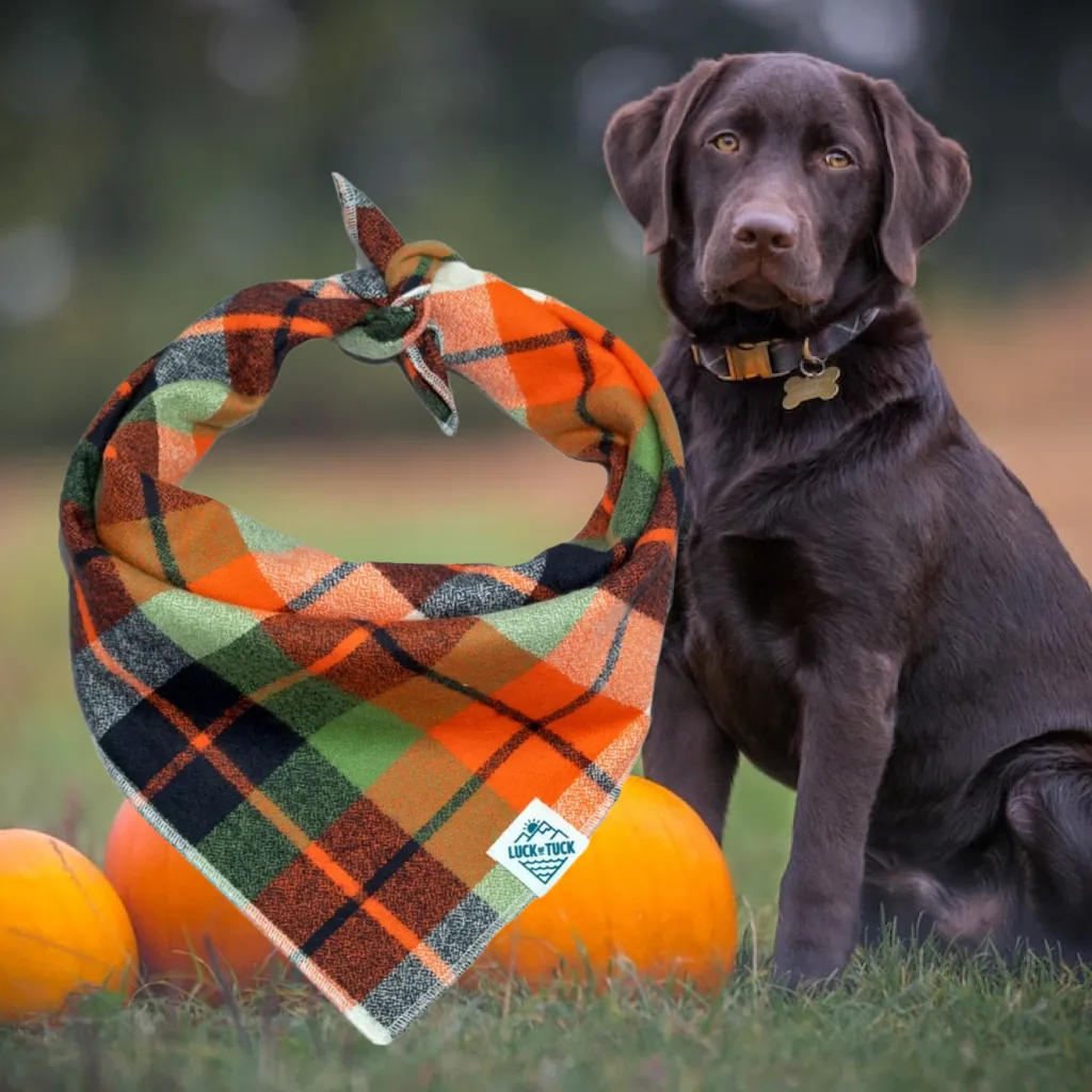 Dog Bandana - Fall Plaid