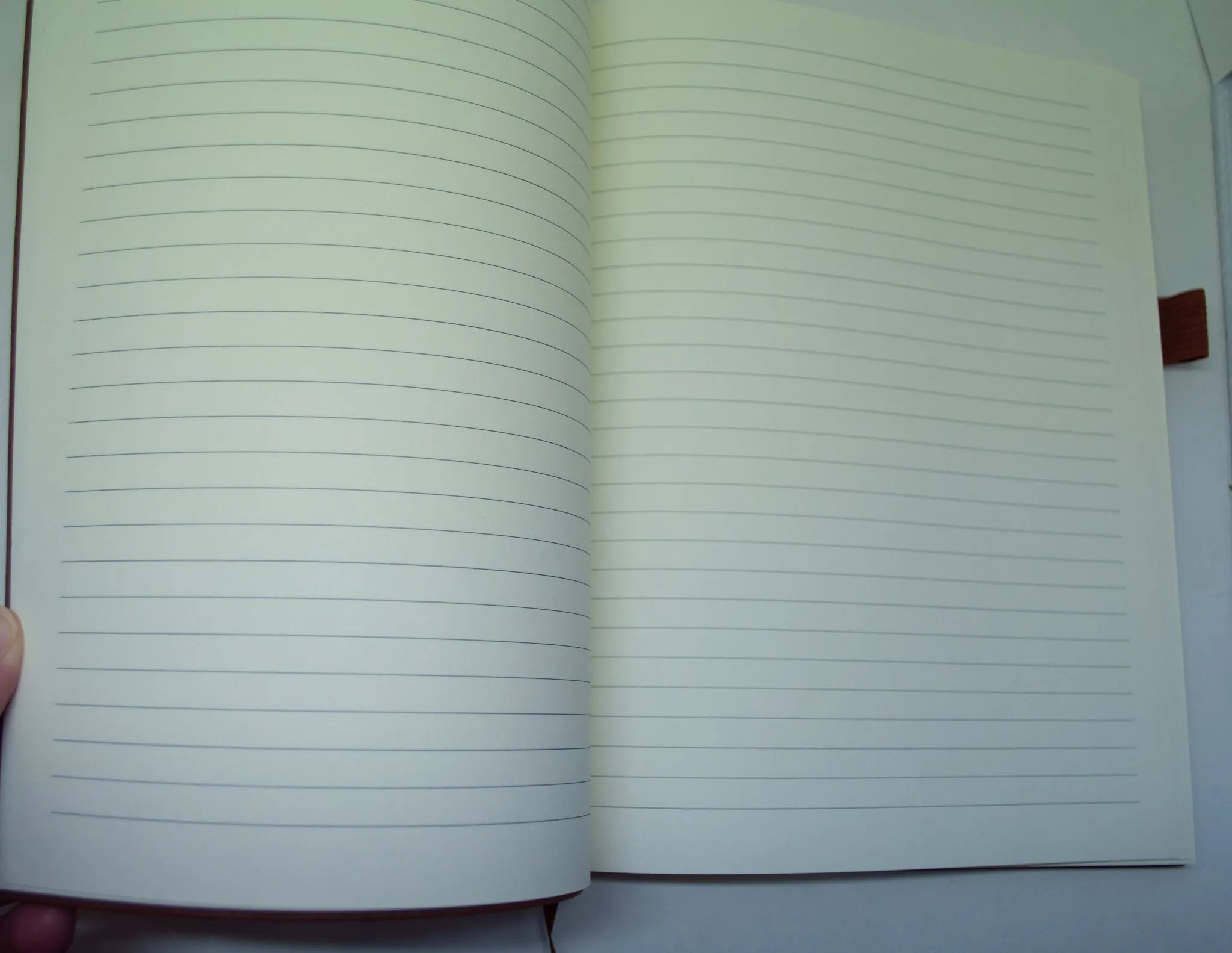 Dragon Circle Vegan Journal