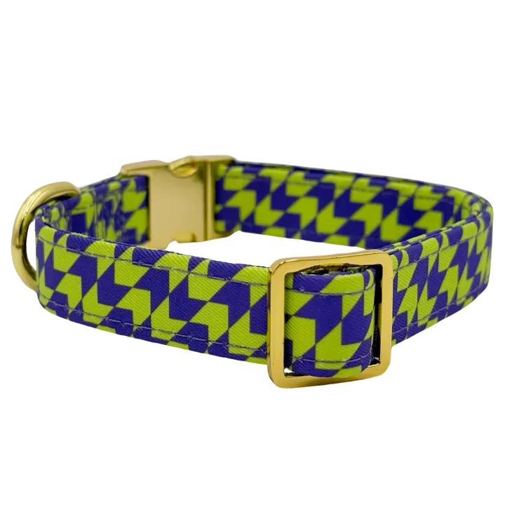 Fetch Master - Dog Collar