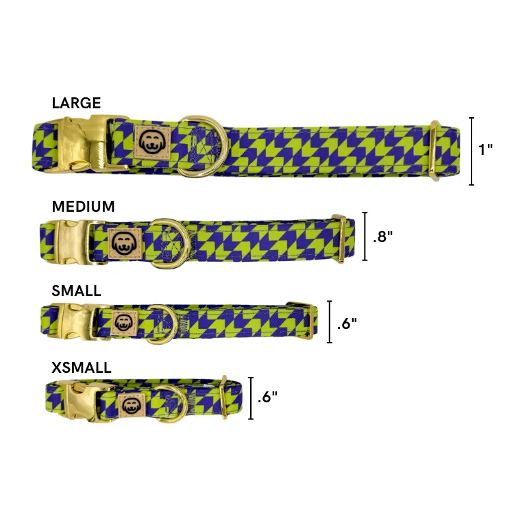 Fetch Master - Dog Collar