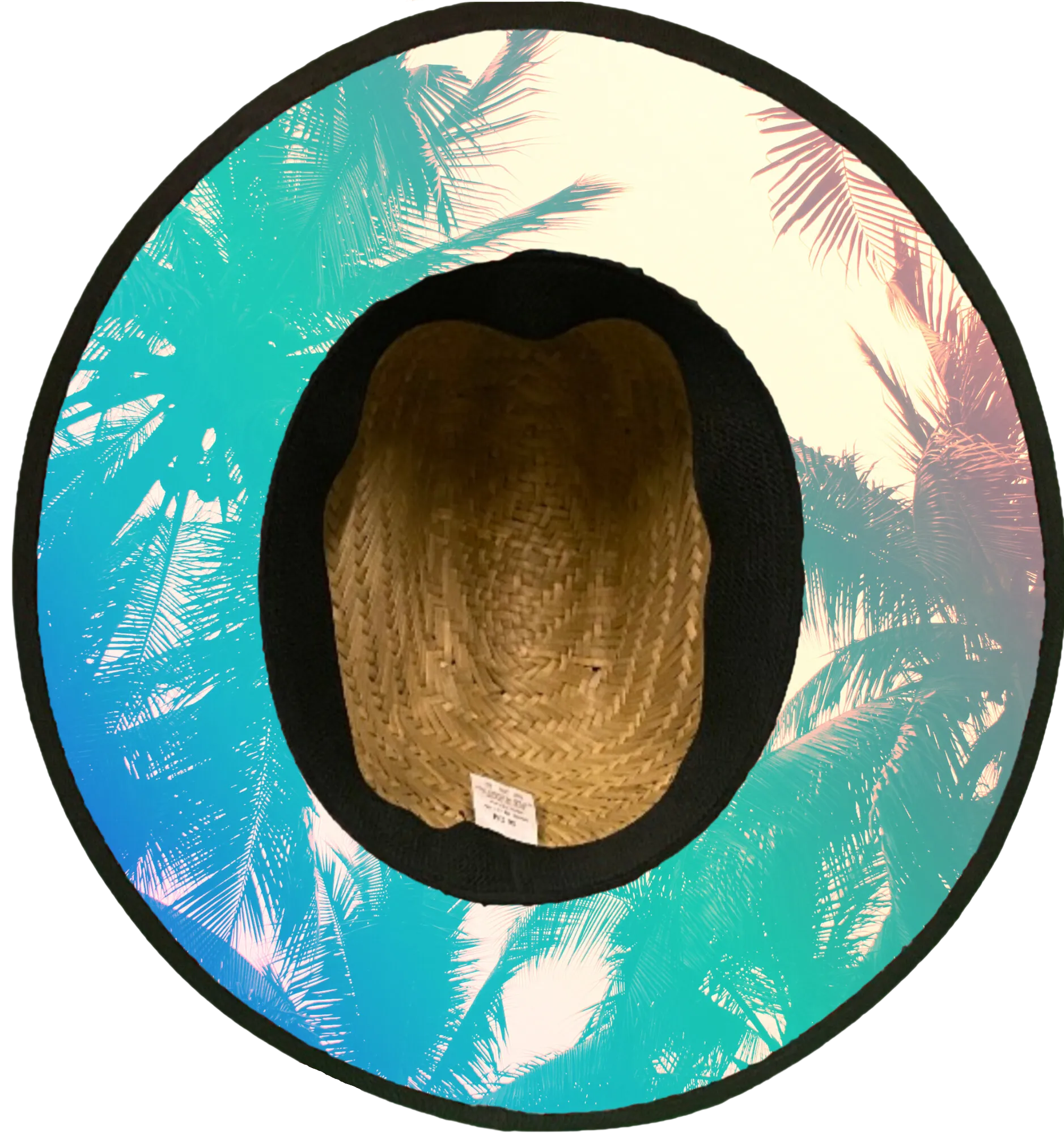 Florida Palms