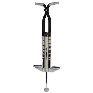 Flybar Master Kids Pogo Stick