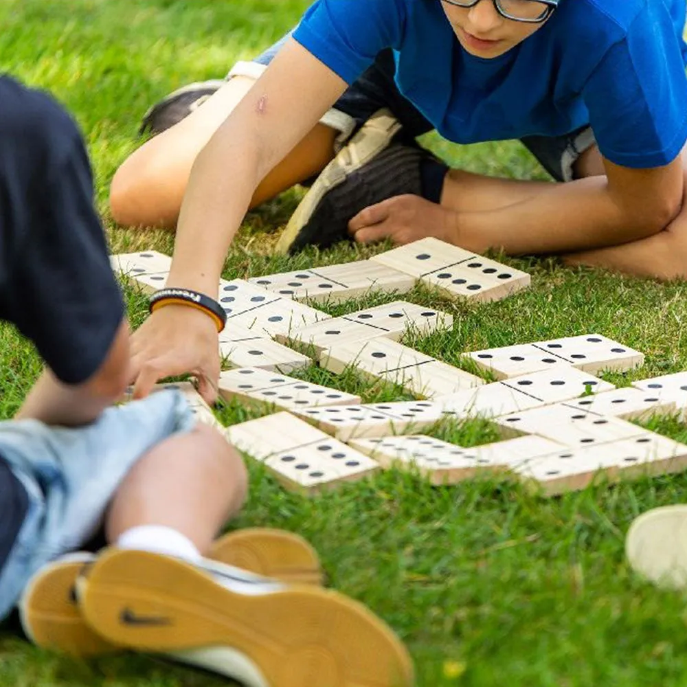 Formula Sports Dominoes