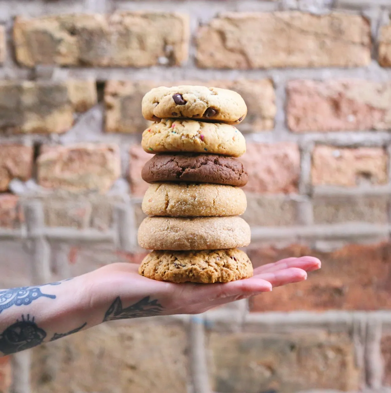 FOXSHIP FLIGHT - 6 Assorted Quarter Pound Vegan Cookies