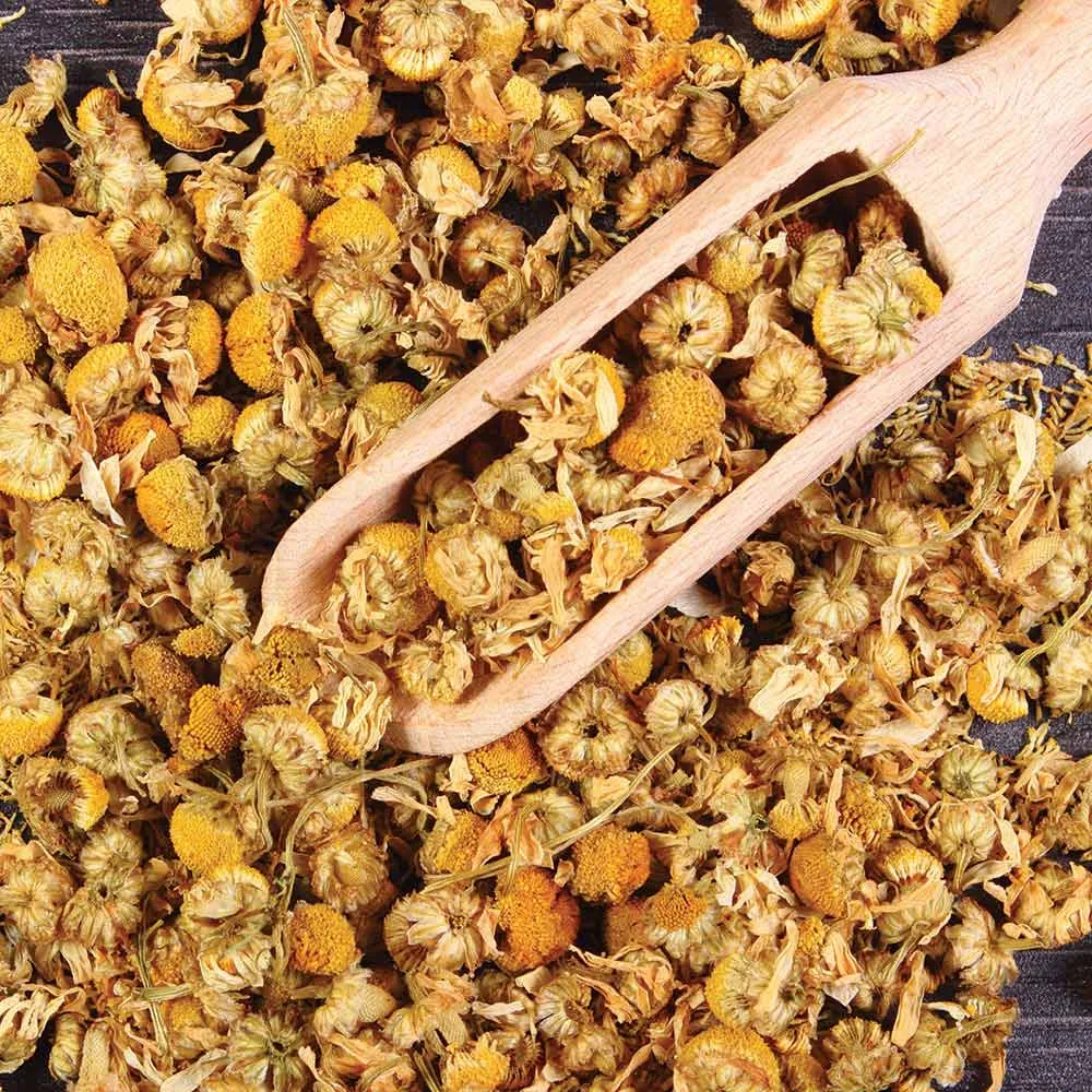 FRONTIER CO-OP GERMAN CHAMOMILE FLOWERS, WHOLE 1 LB.