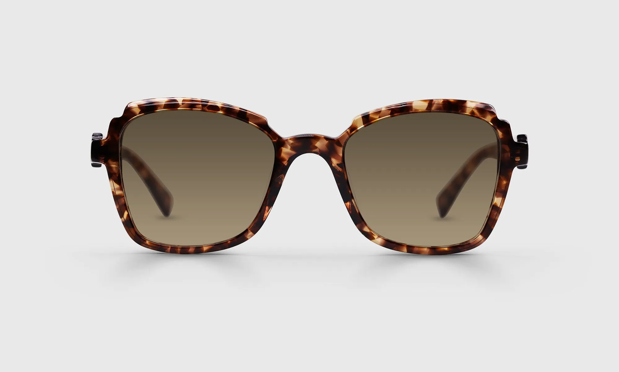 Fun Park Sunglasses
