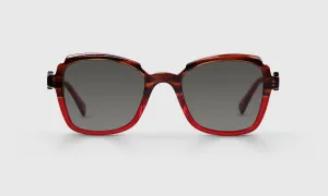 Fun Park Sunglasses