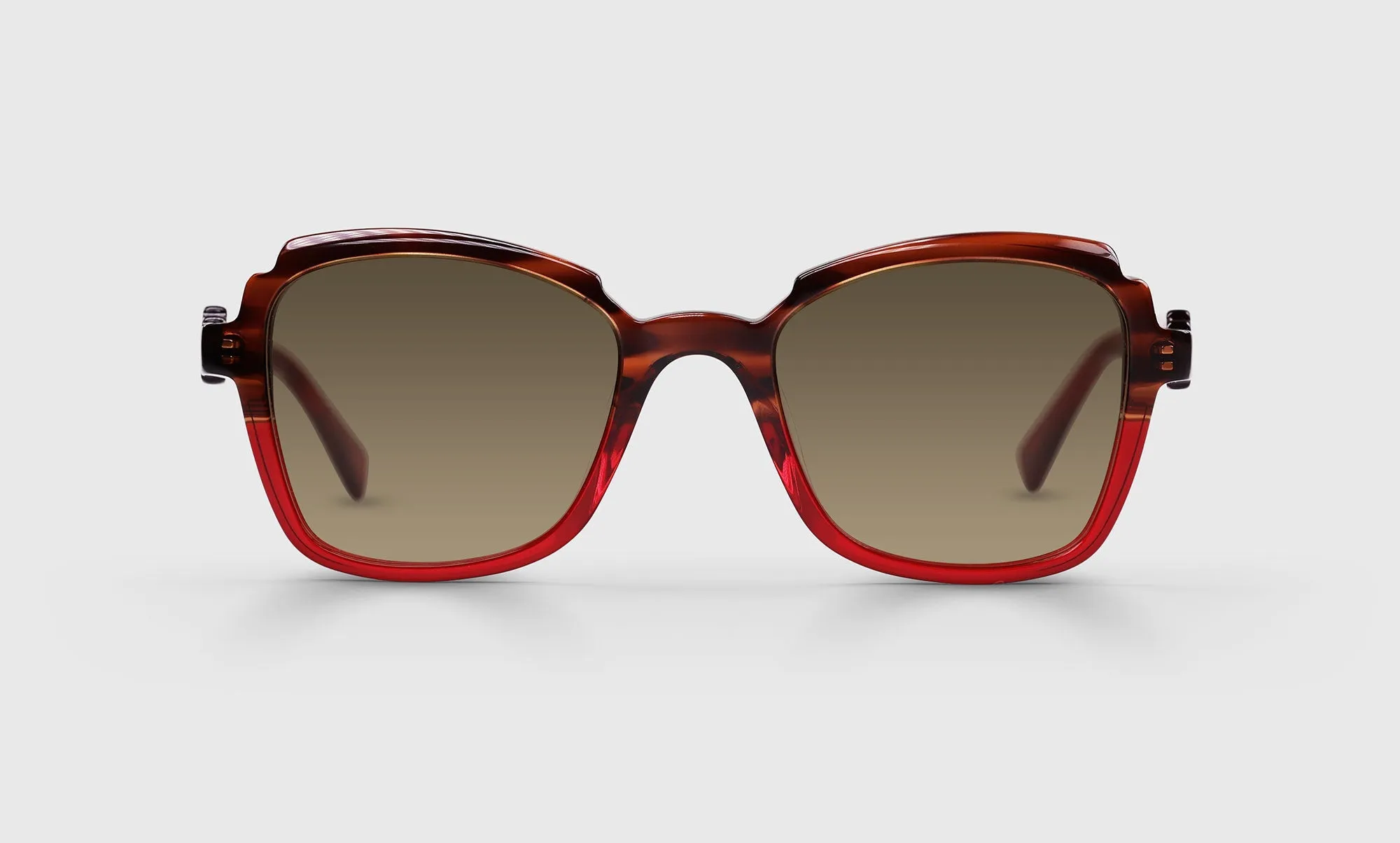 Fun Park Sunglasses