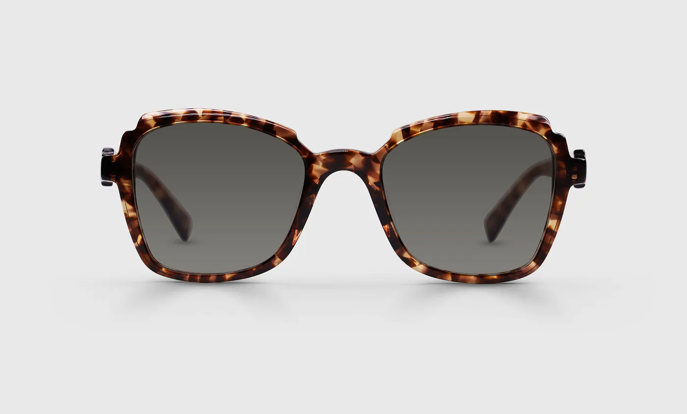 Fun Park Sunglasses