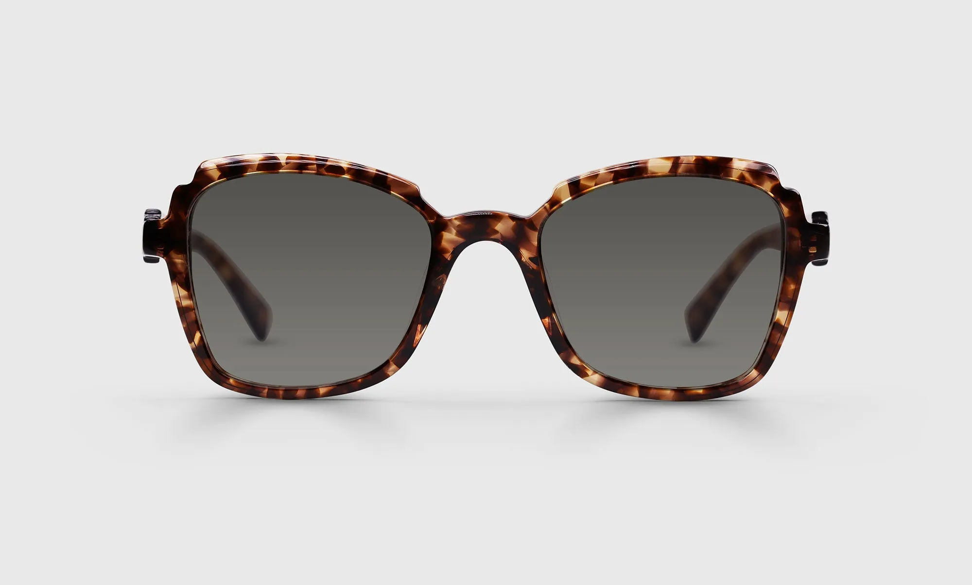 Fun Park Sunglasses